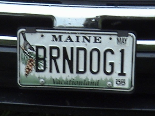 Dog Plates_548.jpg